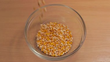 Mısır tohumları bir cam levha dökülür. Ağır çekim