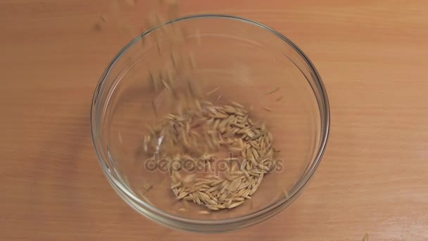 Nieprzetworzone ziarna zbóż wlewa się do miski w zwolnionym tempie — Wideo stockowe