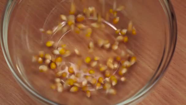 Желтая кукуруза выливается в стеклянную тарелку, крупным планом. Медленное движение — стоковое видео
