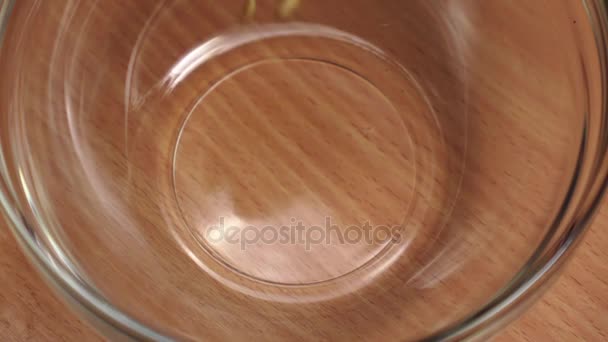 Unprocessed wheat grains poured into bowl in slow motion, closeups — Stock Video