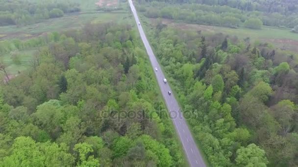 Camino que conduce a través del bosque y pueblo a las montañas. Vista aérea — Vídeos de Stock