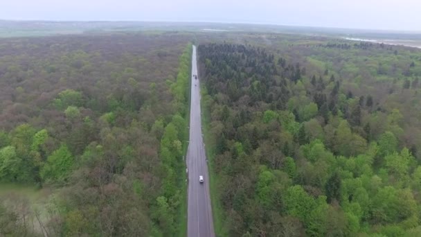Vliegen over via weggetje met auto's in het groene woud — Stockvideo
