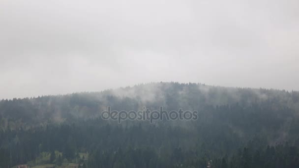 Sommarmorgon dimma moln på sluttningen fjällskog, tidsinställd — Stockvideo