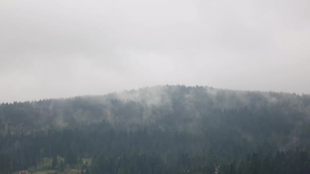 Brouillard matinal d'été nuage sur la pente de la montagne forêt, laps de temps — Video