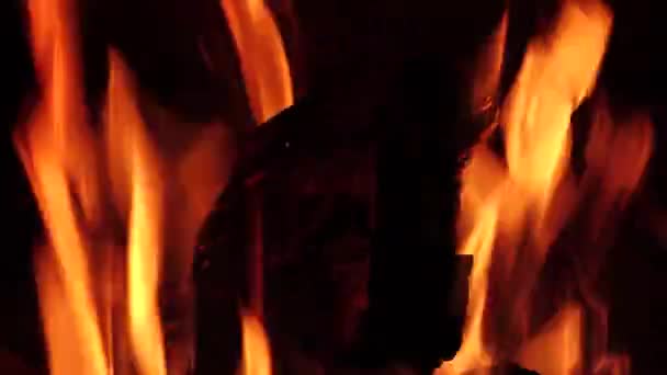 Les flammes de feu s'élèvent sous l'influence des courants d'air — Video