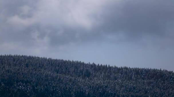 Nuvens cinzas nevadas se formam sobre a floresta nas montanhas. Desfasamento temporal — Vídeo de Stock