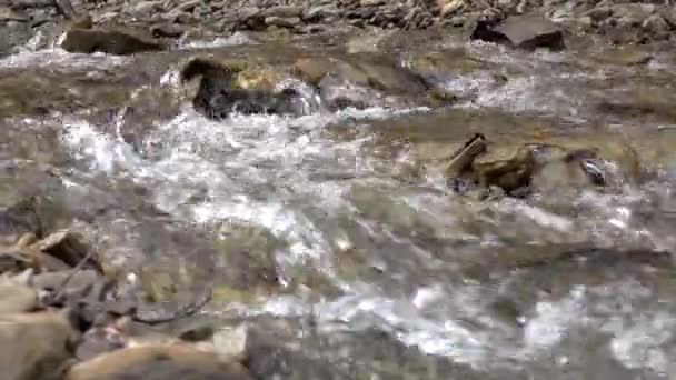 Montagne ruisseau calme entre les rives de pierre avec de l'eau de source claire — Video