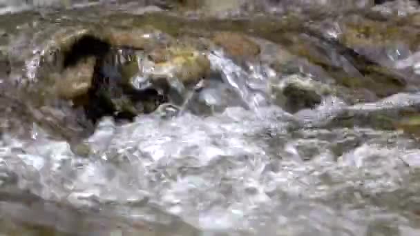 Крупные планы чистого потока горной реки среди каменистых берегов — стоковое видео