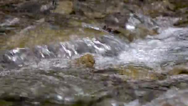 Closeups de água que supera corredeiras rochosas de paisagem de montanha — Vídeo de Stock