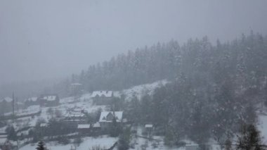Blizzard Köyü ayak ormanlık Hill düşüyor. Ağır çekim