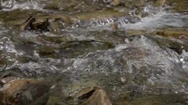 Dağ nehir taşlı kıyıları arasında saf akış. Ağır çekim