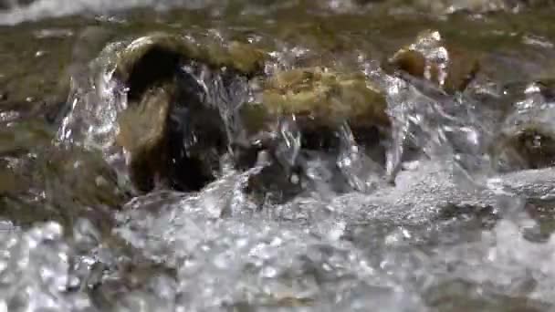 Gros plans d'eau qui surmonte les rapides rocheux au ralenti — Video