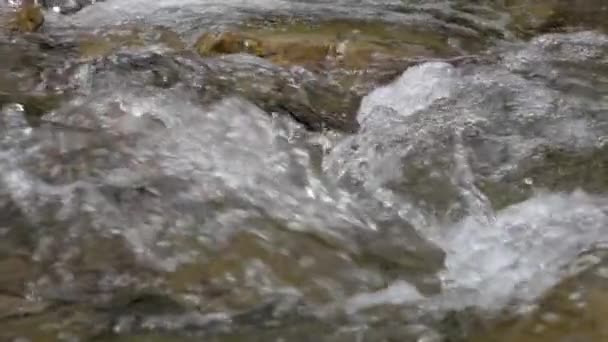 Closeups of pure stream of mountain river in slow motion — Stock Video