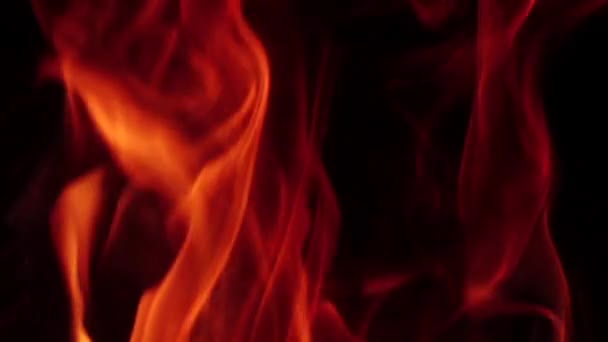 Red bonfire burning on black background in slow motion. Fireplace — Stock Video