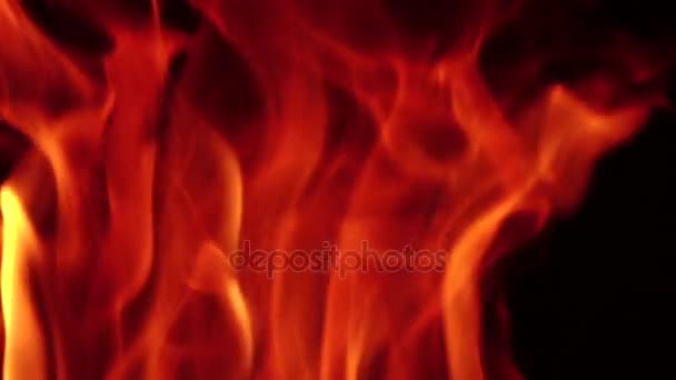 Bright fascinating flame of fire burning on background of night — Stock Video