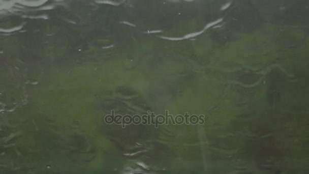 Regendruppels op vensterglas stroomt in continue stromen. Slow motion — Stockvideo