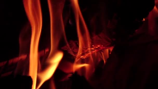 슬로우 모션에서 밤에 캠프 파이어에서 뜨거운 불길. 클로즈업 — 비디오