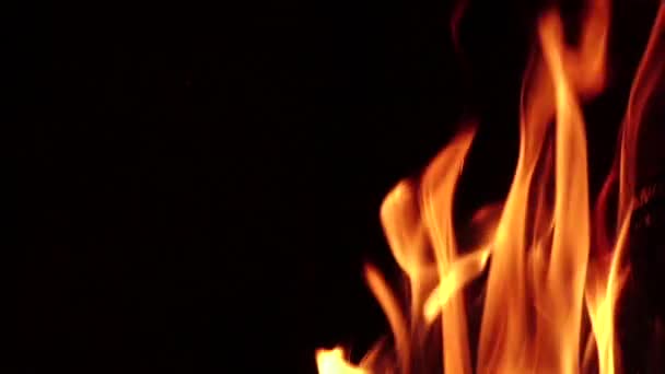 Wild yellow flames raging against black background. Slow motion, closeups — Stock Video