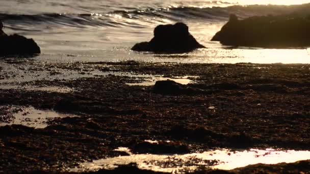 Puesta de sol junto al mar, el viento excita el agua, una brisa ligera — Vídeos de Stock