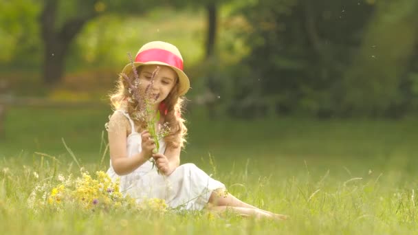 Маленькая девочка сидит на поляне, переворачивает разорванные дикие цветы и делает из них букет. — стоковое видео