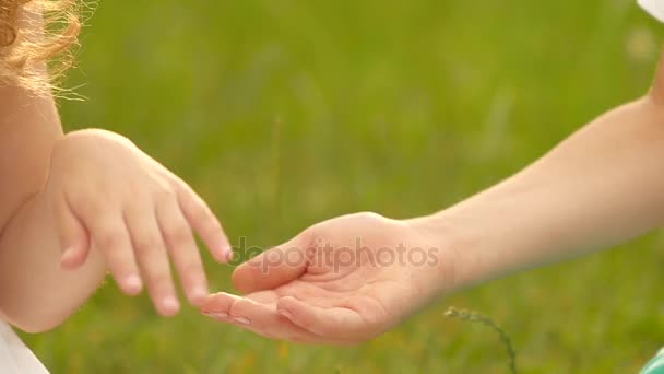 Malá holka dává ruku chlapce. Zpomalený pohyb. Detailní záběr — Stock video