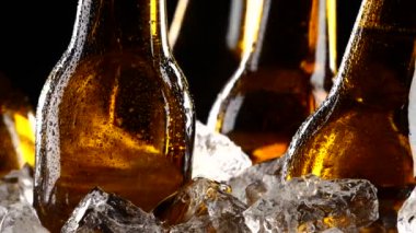 Bira Festivali, şişe buz parçalar halinde hazır. Siyah arka plan. Siluet. Yakın çekim