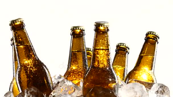 Garrafas com cerveja, luz do sol cai sobre as garrafas de vidro escuro. Fundo branco. Fechar — Vídeo de Stock