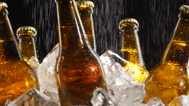 Beer stands in the ice, water flows from above, splashes fall on the glass. Black background. Close up — Stock Video