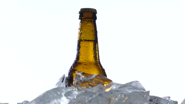 Botella oscura de cerveza están en un recipiente con trozos de hielo. Fondo blanco. De cerca. — Vídeos de Stock