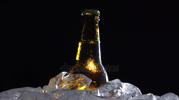 Flaska med mörk kall öl i isen. Svart bakgrund. Siluett — Stockvideo