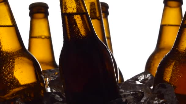 Φεστιβάλ μπύρας, μπουκάλια σταθεί σε κομμάτια του πάγου. Λευκό φόντο. Σιλουέτα. Κοντινό πλάνο — Αρχείο Βίντεο