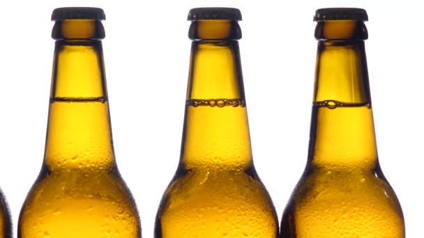 Flessen met donker bier, zijn ze bedoeld voor oktoberfest. Witte achtergrond. Close-up — Stockvideo