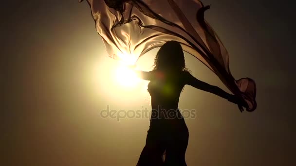 Danser maakt seksuele bewegingen met haar lichaam. Silhouet. Slow motion — Stockvideo