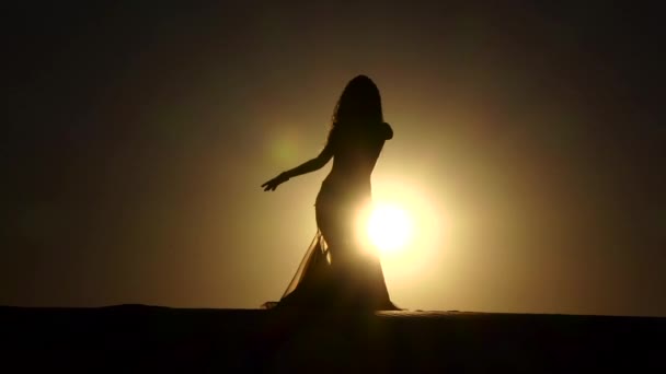 Dançarino profissional dança graciosamente contra o fundo de um pôr do sol quente. Silhueta. Movimento lento — Vídeo de Stock