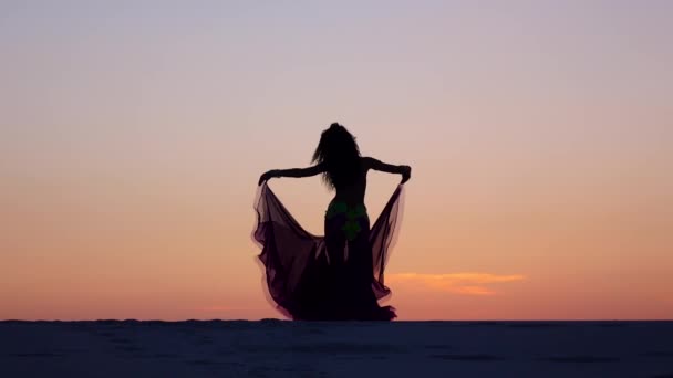 Professionelle süße Tänzerin am Strand tanzt Bauchtanz. Silhouette — Stockvideo