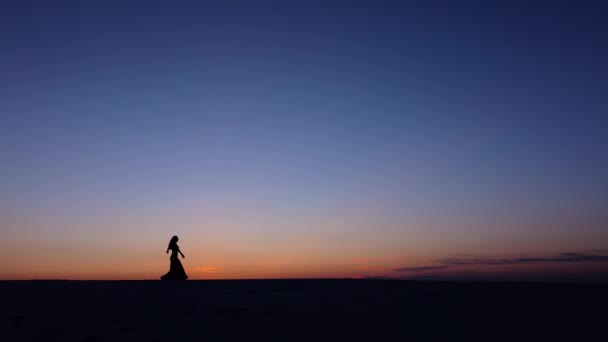 Graceful movements of a dancer, dancing belly dance while on the beach. Silhouettes — Stock Video