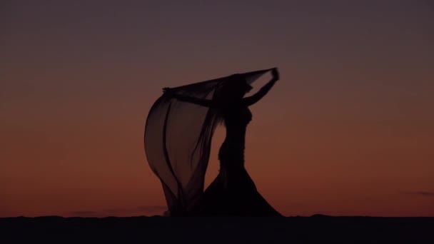 Дівчина на березі моря витончено танцює своє тіло проти заходу сонця. Силует — стокове відео