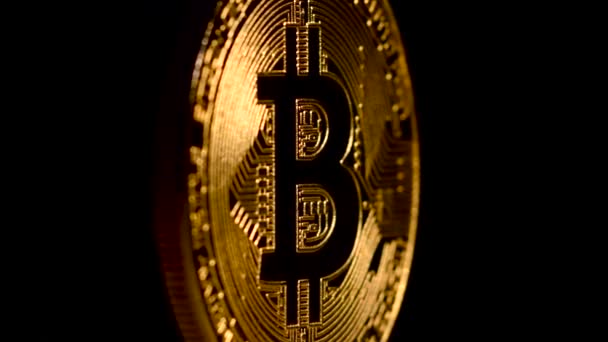 Gouden Bitcoin draait op een zwarte achtergrond — Stockvideo