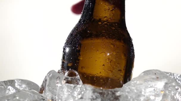 氷から手はビールをマンします。白い背景。クローズ アップ。スローモーション — ストック動画
