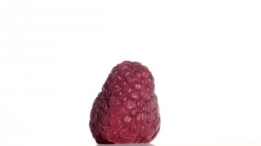 Koyu kırmızı ahududu beyaz bir arka plan üzerinde döner. Yakın çekim