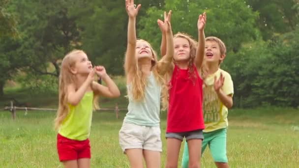 Niño feliz y tres niñas jugando a atrapar burbujas de jabón en un césped de verano. Movimiento lento — Vídeo de stock
