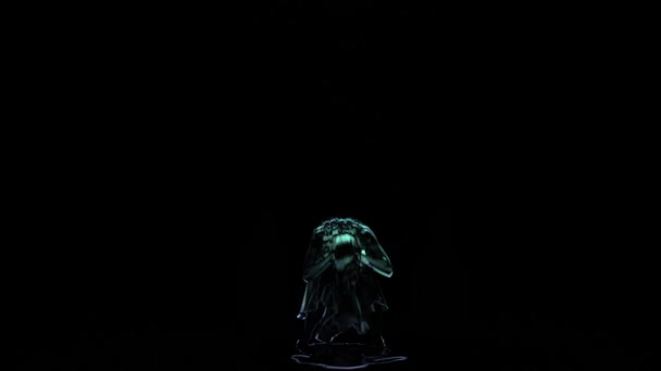 Grafika Komputerowa, neon cienie dziewcząt taniec na czarnym tle — Wideo stockowe