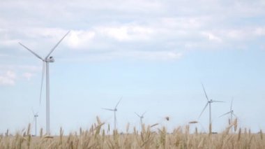 Güçlü Türbinler sarı buğday kulak tarafından çevrili gökyüzü arka plan üzerinde elektrik üretmek