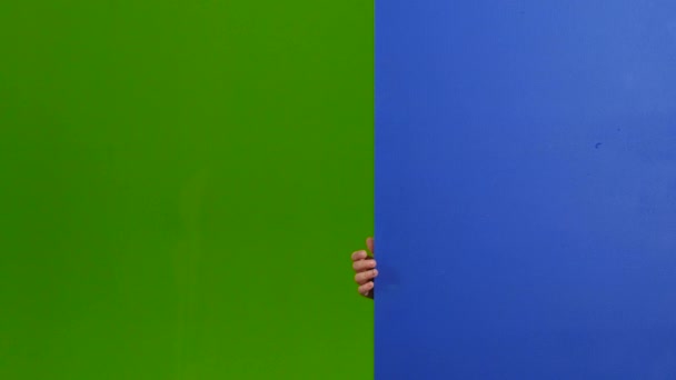 Child looks out from behind an empty board. Green screen — Stock Video