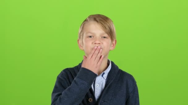 L'enfant envoie un baiser d'air. Écran vert — Video