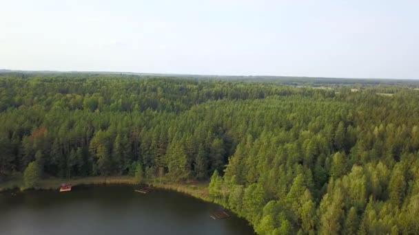 Großartiger Ort für Erholung und Angeln am Fluss, umgeben von Wald. Luftaufnahme — Stockvideo