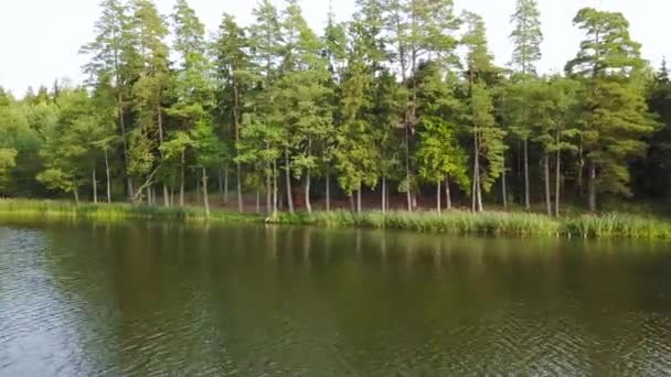 Blick von rechts nach links auf das Waldgebiet am Fluss. Luftaufnahme — Stockvideo