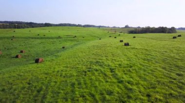 Saman sheaves meadows ülke tarafında yeşil çim üzerinde yalan. Hava anket