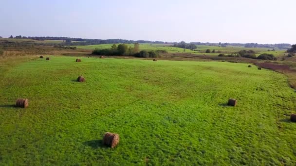 Campo de trigo con gavillas después de la cosecha. Encuesta aérea — Vídeos de Stock