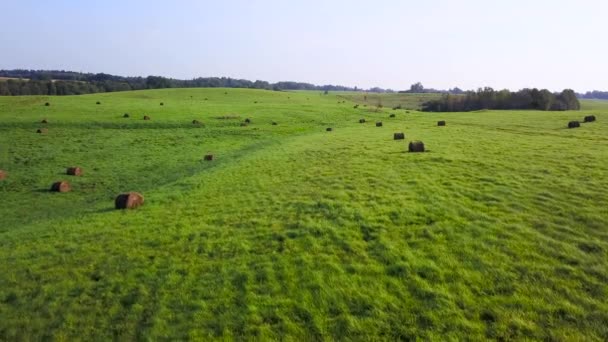 Las gavillas de heno yacen sobre la hierba verde de los prados en el campo. Encuesta aérea — Vídeos de Stock